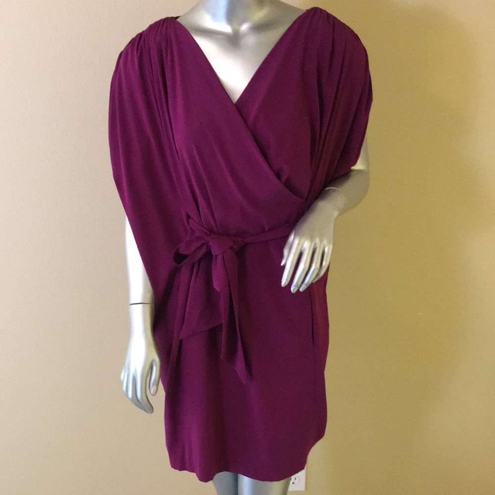 Suzi Chin for Maggy Boutique silk dress